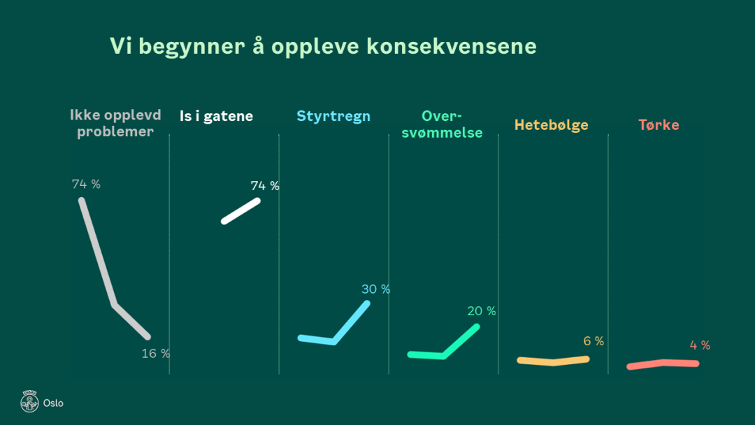 Figur som viser hva folk har svart på hvilke typer værhendelser i Oslo-området som har gitt dem problemer det siste året