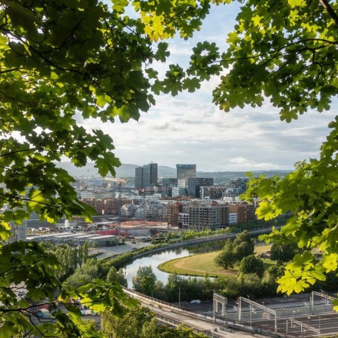 utsikt til Oslo by gjennom grønne løvtrær