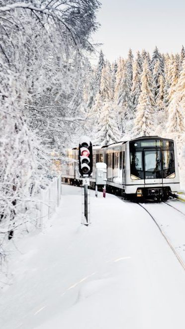 T-bane som kjører i vinterlandskap, omgitt av snøtunge trær